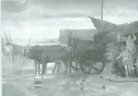 Jenaro Carrero, Carros no porto de Noia.
